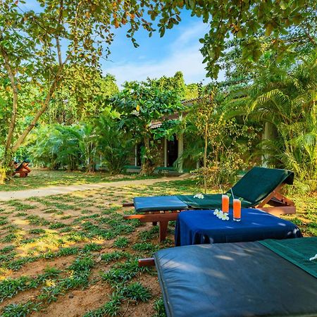 Sath Villa Naadi Ayurveda Resort Moragalla Екстер'єр фото